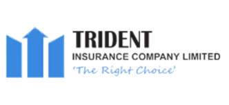 Trident Insurance logo